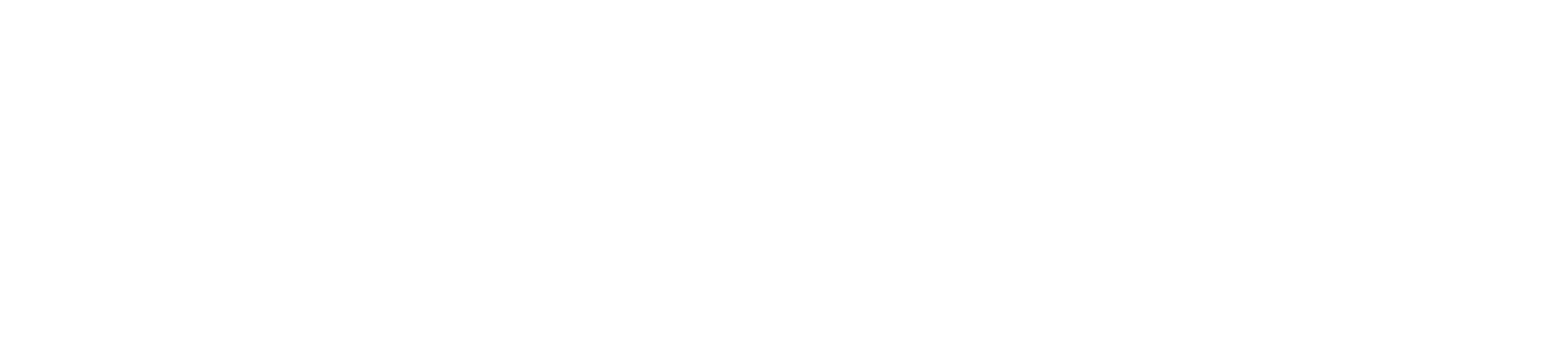Local Brain - identidad corporativa horizontal bn 2